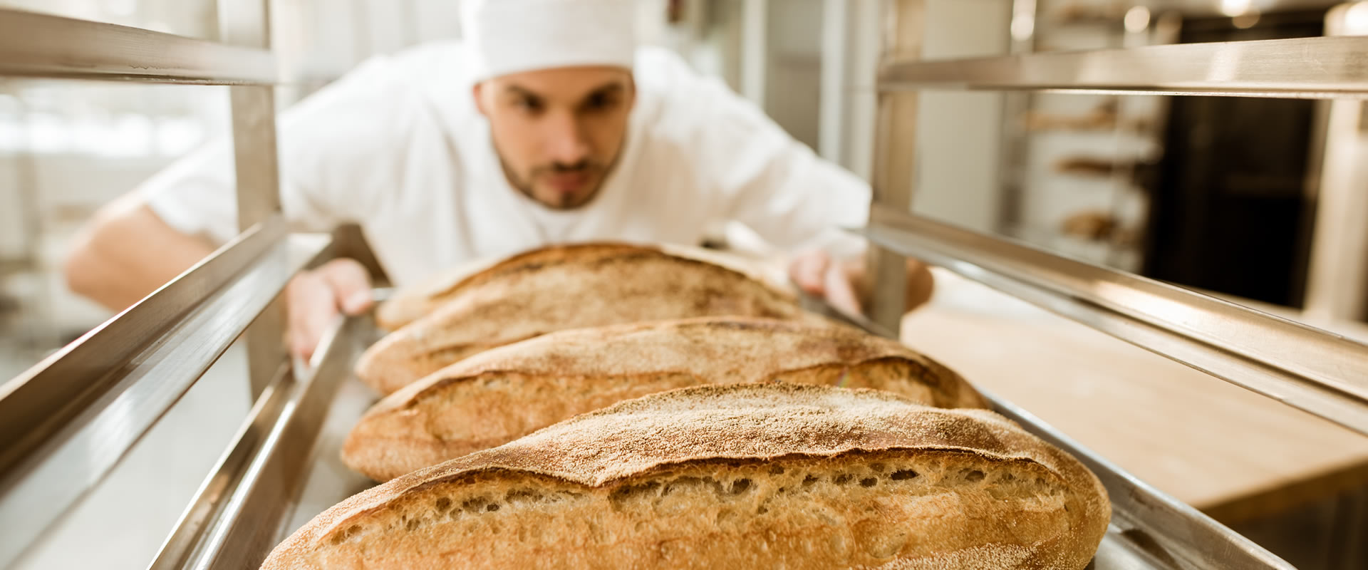 Presupuesto maquinaria de panadería